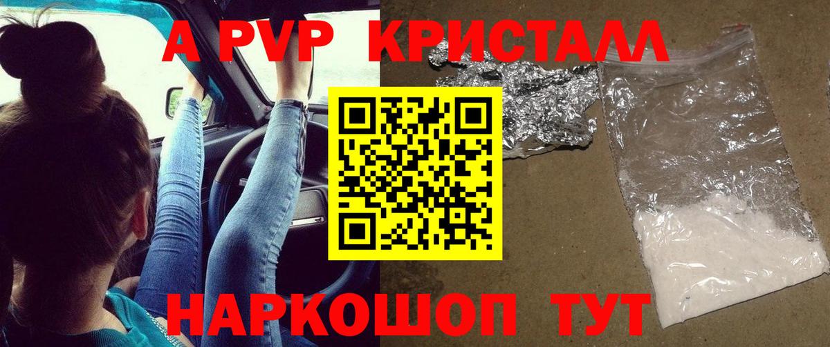 А ПВП крисы CK Майкоп