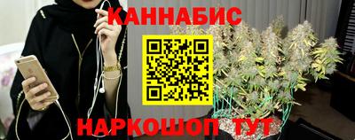 бошки Гатчина