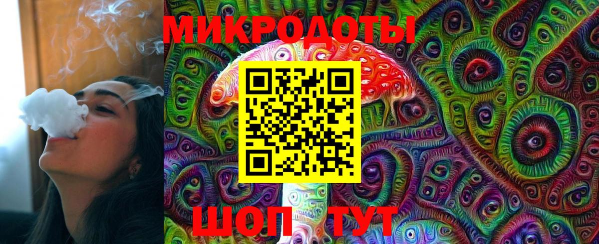 Майкоп  Галлюциногенные грибы Psilocybine cubensis  Вход с VPN 